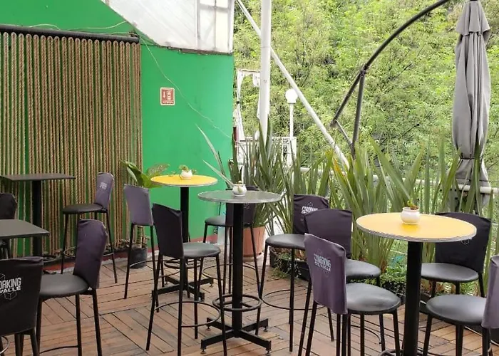 Mexico City Guesthouse Affittacamere *