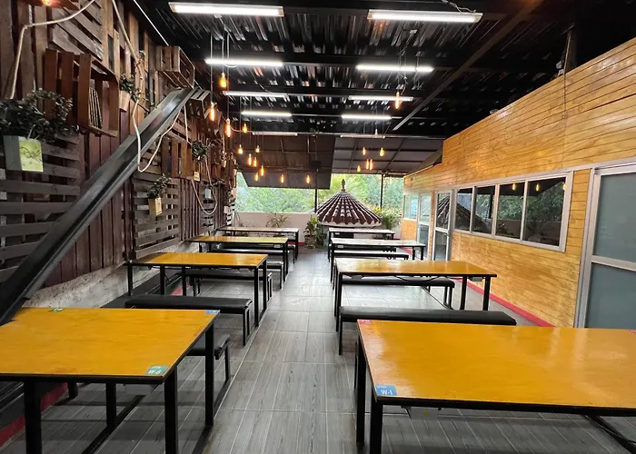 Mexico City Guesthouse