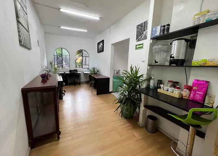 Mexico City Guesthouse * Città del Messico
